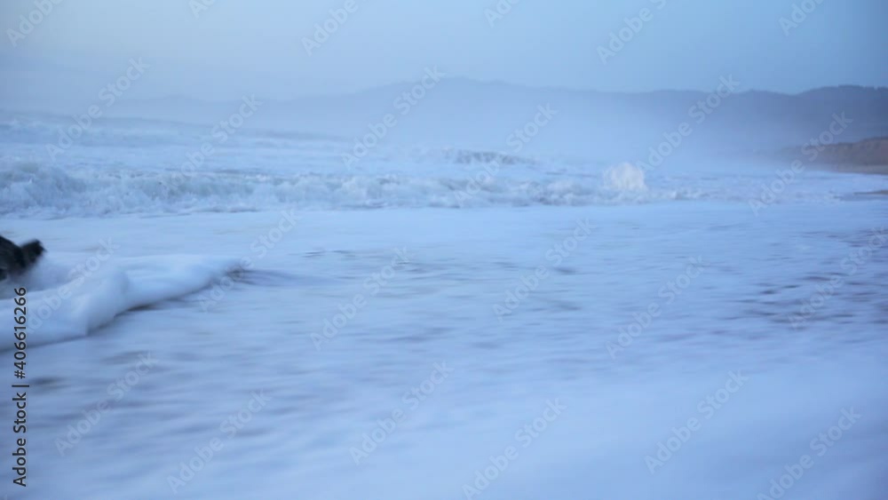 Waves dragging into the ocean a big piece of wood. Waves dragging into the ocean a big piece of wood.