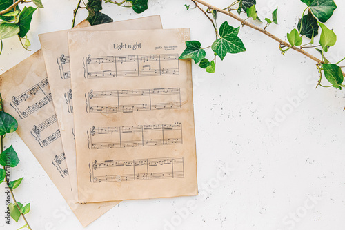 Music sheets and green leav...