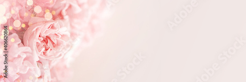 Tender banner of pink roses on beige background and lights