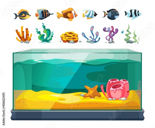 Aquarium bundle. Exotic fishes, seaweeds and corals. Cartoon glass water cube, isolated sealife or underwater vector element. Coral and seaweed, aquarium underwater illustration