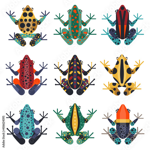 Tropical Poison Dart Frogs Set in Flat
