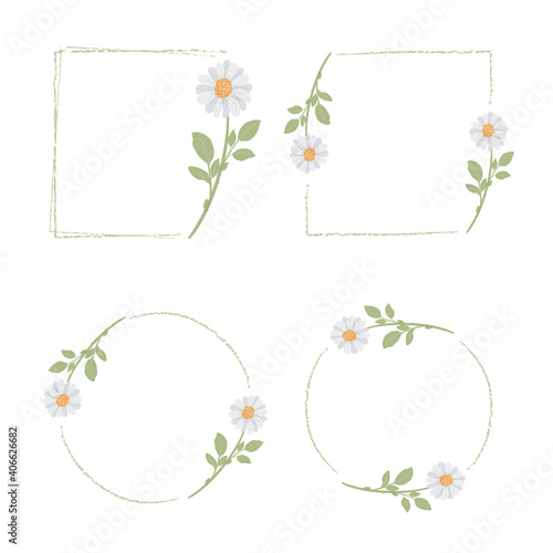beautiful minimal white daisy flower frame collection for banner for logo