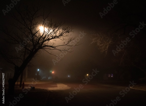 Night Fog in the Street
