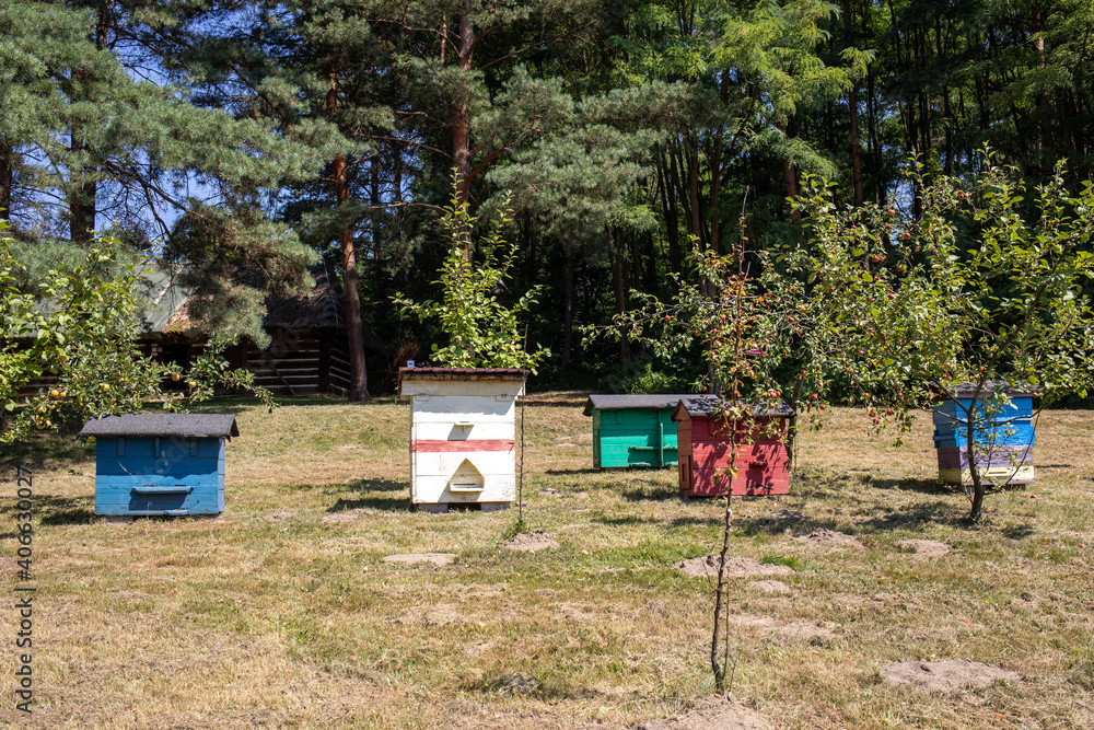 An apiary with old wooden hives in a rural garden
