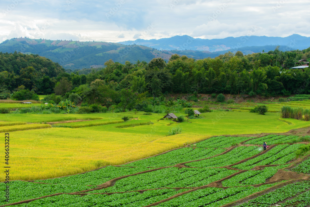 Beautiful scenery of agricultural plots located in Chaem, Mae Chaem District, Chiang Mai Province, Thailand.