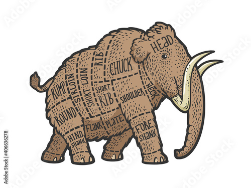 Mammoth meat scheme Cut of beef sketch color engraving vector illustration. T-shirt apparel print design. Scratch board imitation. Black and white hand drawn image.