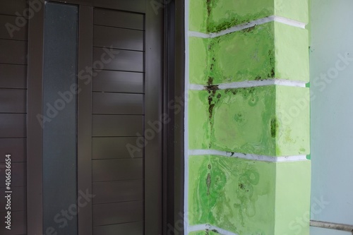 Walls are damp and moldy due to water seepage
