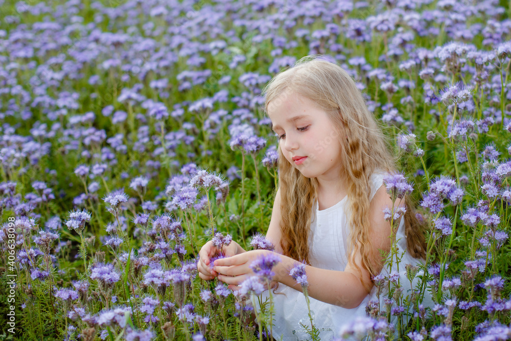portrait of a little girl in a purple field with flowers portrait of a little girl in a purple field with flowers