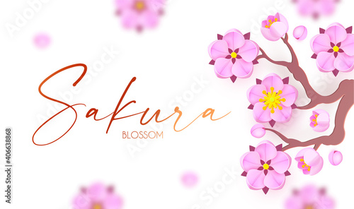 Sakura blossom. Cute pink cherry flowers. Japanese traditional design. O-Hanami-blossom festival. Spring is coming