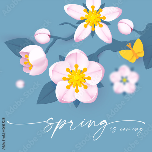 Spring background with soft flowers, bees and butterflies. Spring is coming design with apple and cherry blossom branch