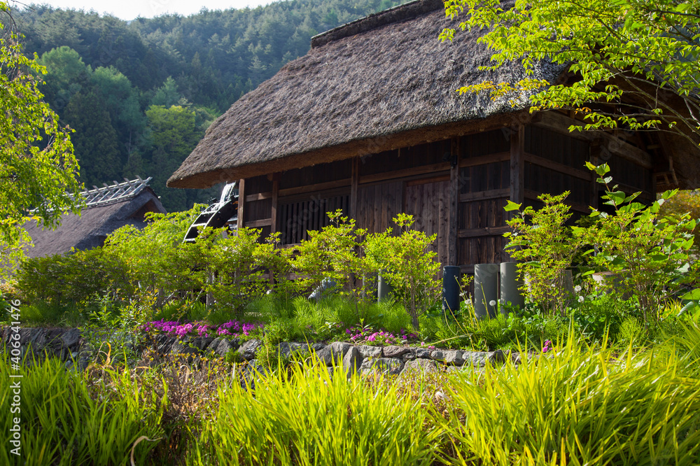 Thatched roof buildings in the Japanese traditional village of Saiko ...