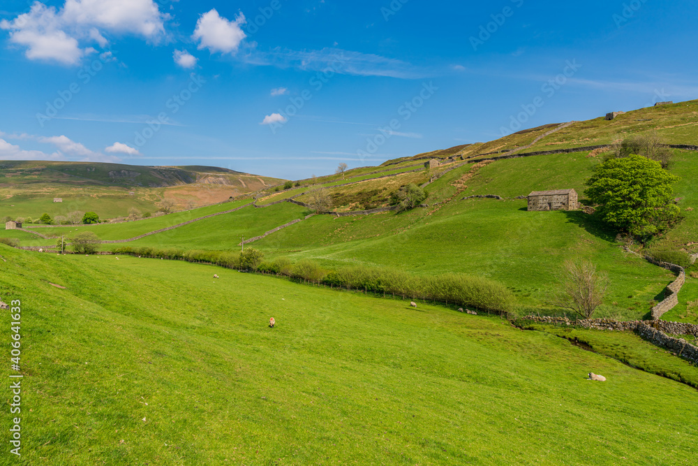 Swaledale landscape with stone barns on the fields near Keld, North Yorkshire, England, UK