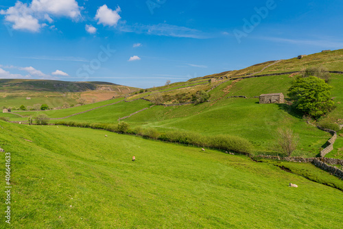 Swaledale landscape with stone barns on the fields near Keld, North Yorkshire, England, UK