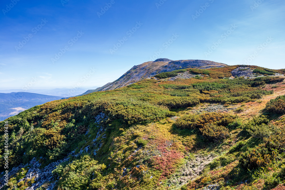 The peak of Babia Gora in Beskid Sadecki in Poland, mountain landscape on a sunny summer day