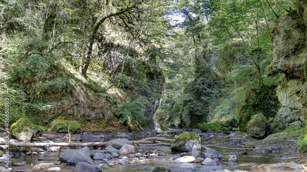 sentier des gorges de la Jordanne dans le Cantal, Auvergne Stock Photo
