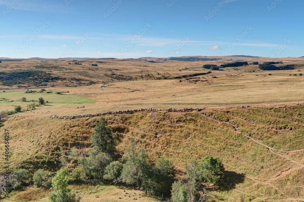 Naklejka premium plateau de l'Aubrac en été