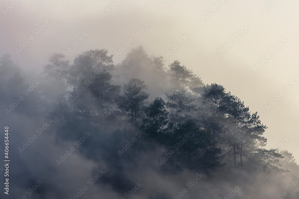 Fototapeta premium fog in the mountains