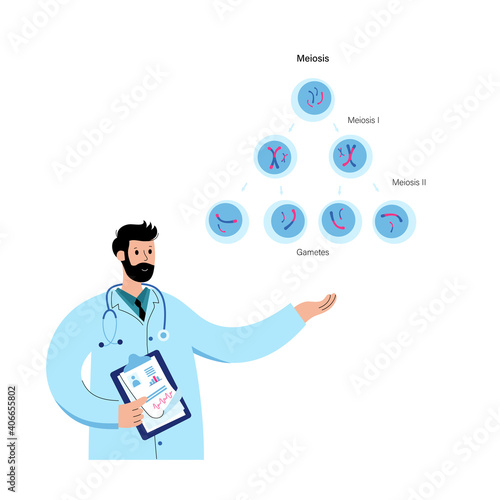 Mitosis process concept