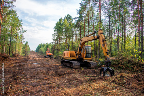 Excavator Grapple during clearing forest for new development. Tracked Backhoe with forest clamp for forestry work. Tracked timber Crane and Hydraulic Grab log Loader. photo