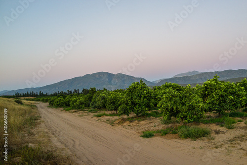 Citrus framing in South Africa