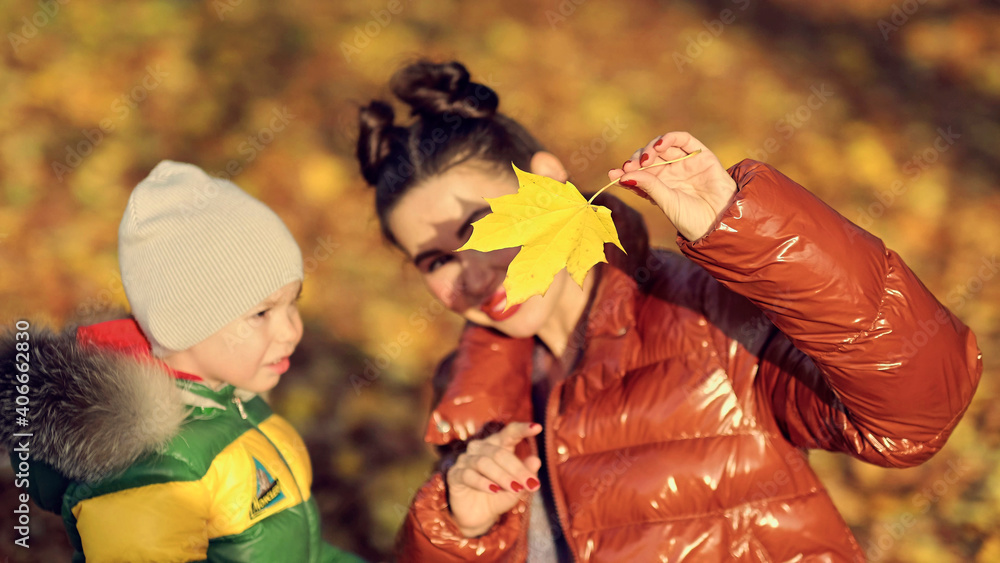 Mom and son look at maple leaves, study nature in the park., family fun. family enjoying a walk in nature. happy motherhood concept.