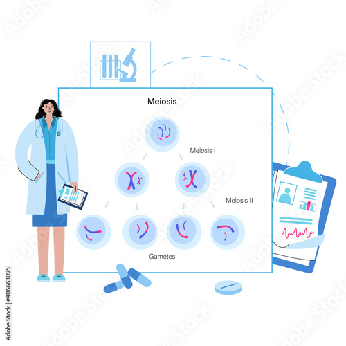 Mitosis process concept