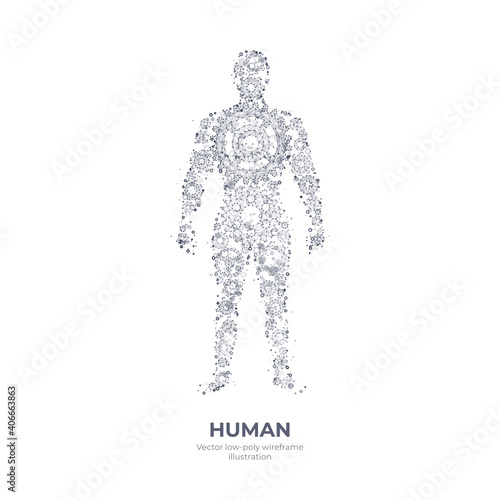 Digital 3d human body image consisting of gears isolated in white. Human body function, medicine, biohacking, anatomy or futuristic concept. Abstract low poly hand drawing with lines, dots, and shape 