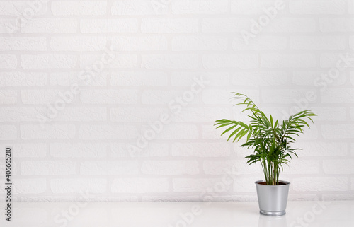 Εκτύπωση καμβά Minimalistic home light white interior