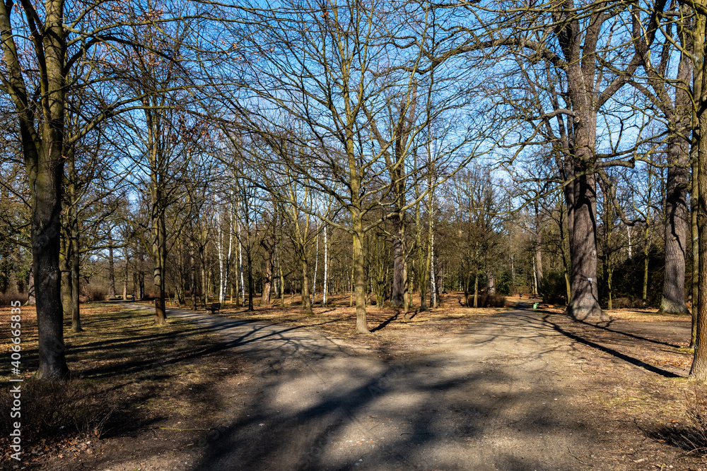 Long path in small park with trees without leafs around Long path in small park with trees without leafs around
