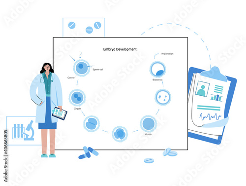 Embryo development concept