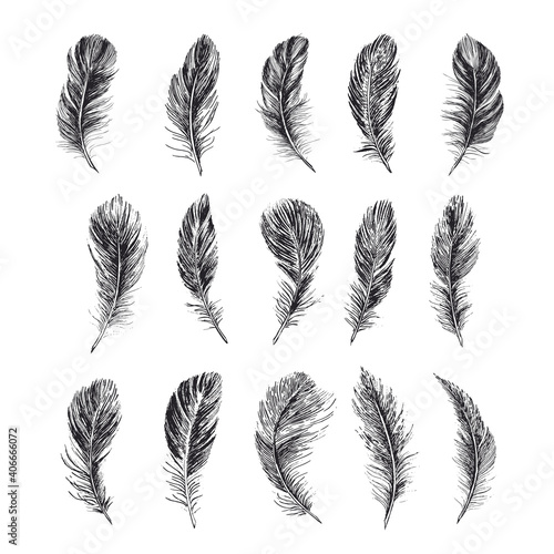 Feathers set  Hand drawn style  vector illustrations.