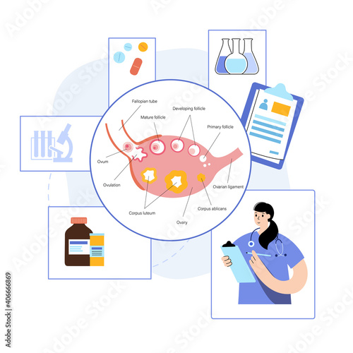 Embryo development concept