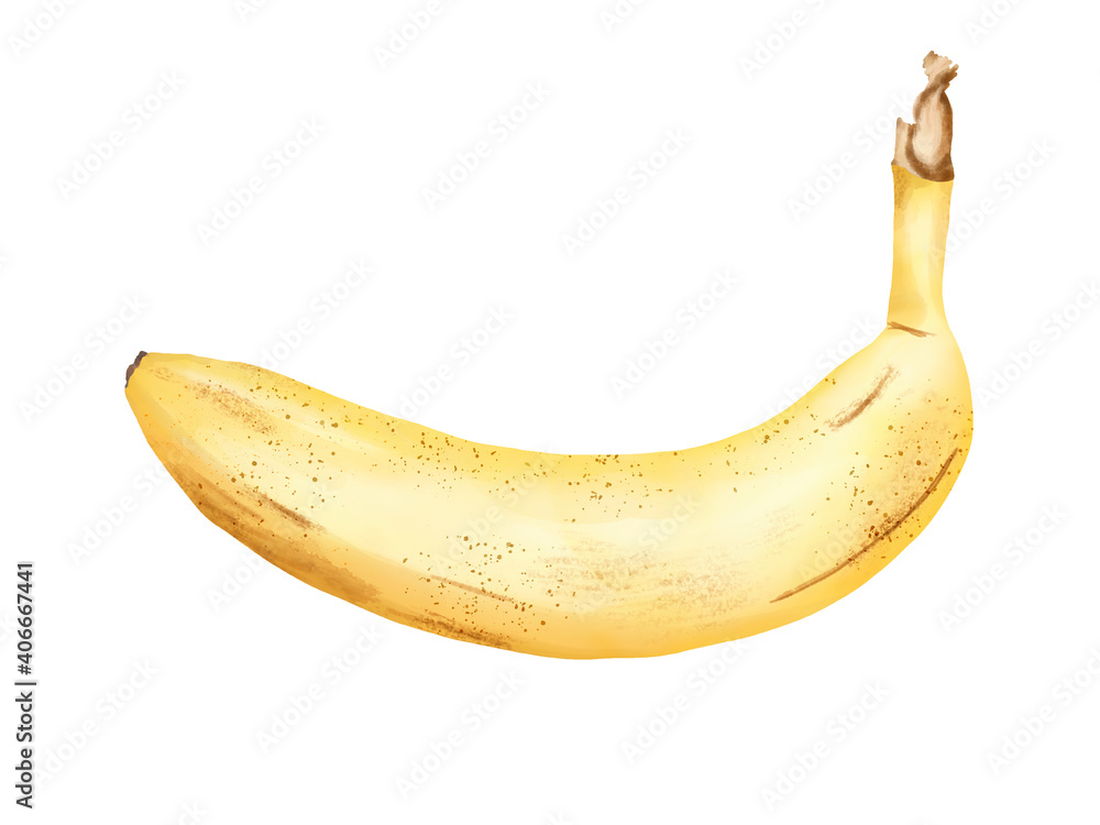 Watercolor illustration of banana