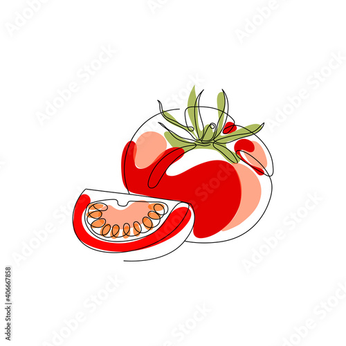 Continuous one line drawing. Tomato. Vector illustration. Minimal abstract art. Black linear art on white background with colorful spots