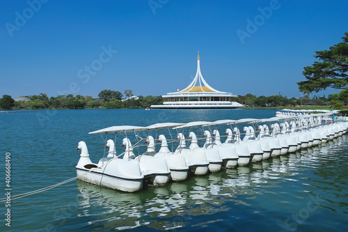 Suan Luang Rama IX in Prawet, Bangkok, Thailand. photo