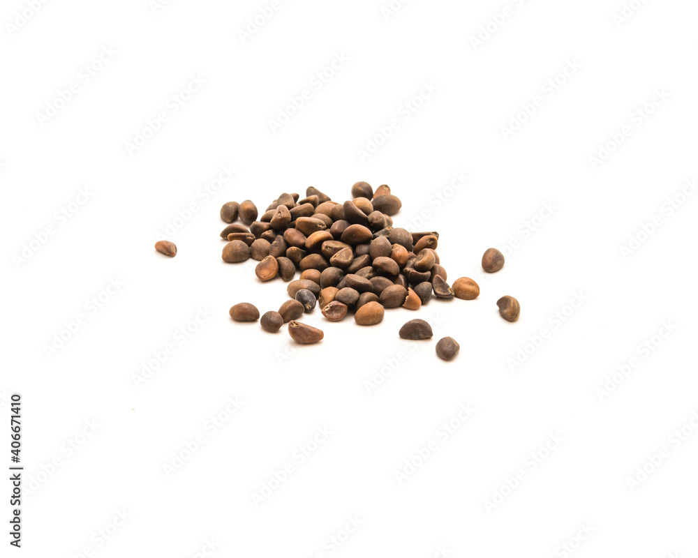 Studio shot group of kangkong water spinach seeds isolated on white background Studio shot group of kangkong water spinach seeds isolated on white background