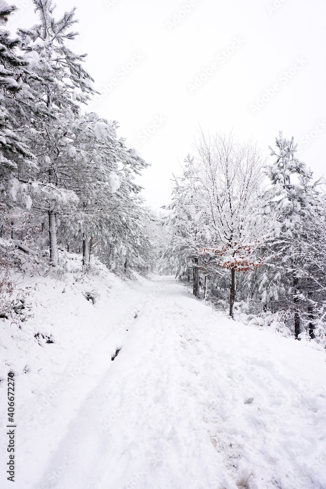 Fototapeta premium snow on the road in the mountain in winter season, Bilbao, Spain