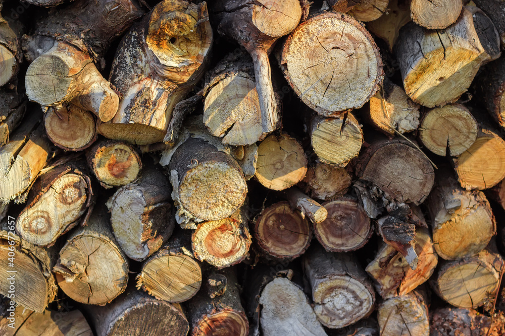Background of the stacked firewood, close-up in selective focus Background of the stacked firewood, close-up in selective focus