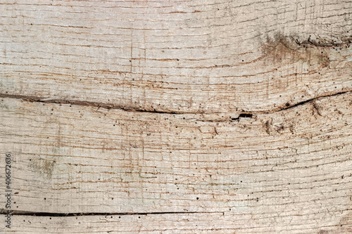 Canvas Print Background of surface of old decrepit cracked wooden plank