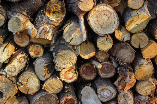 Background of the stacked firewood  close-up in selective focus