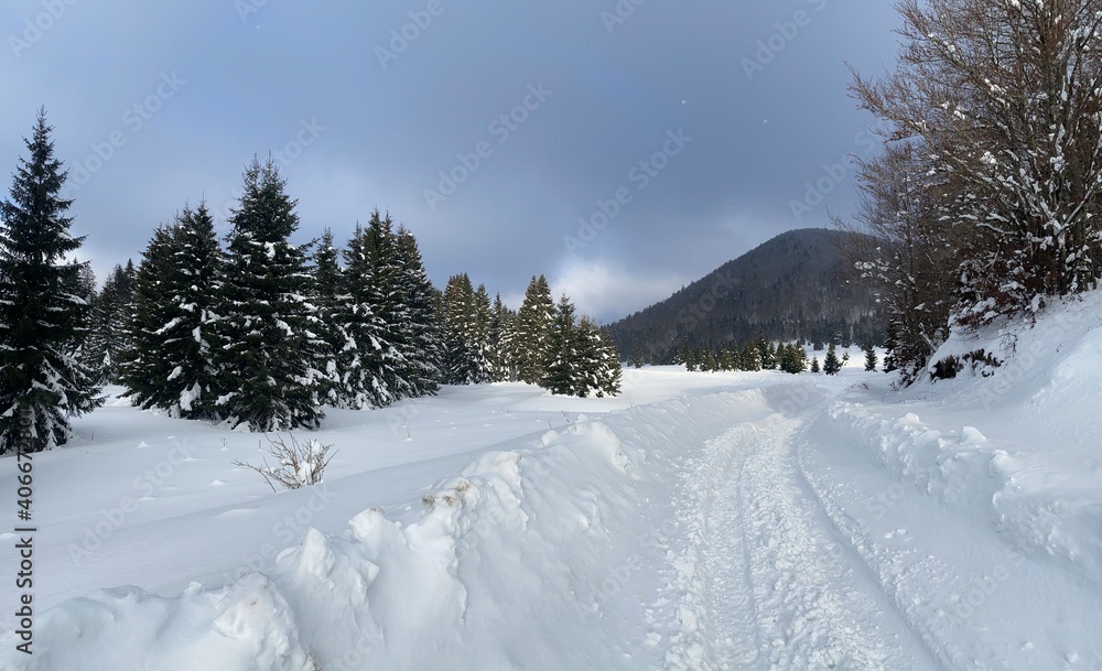 Gorski kotar in Croatia winter landscape Gorski kotar in Croatia winter landscape