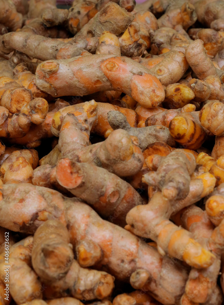 Turmeric herb for medicine in thailand
