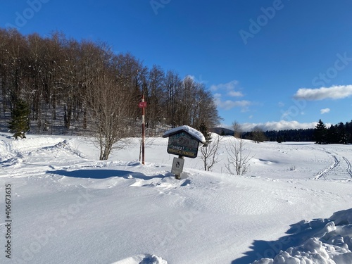 Wallpaper Mural Matic poljana, memorial field for in World war 2 frozen partisans in Gorski kotar, Croatia Torontodigital.ca