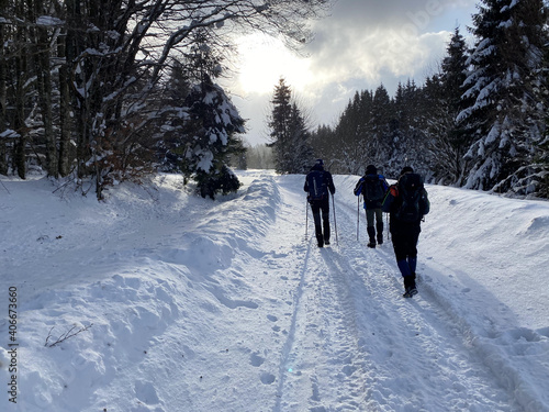 Hiker in Gorski kotar, Croatia in winter