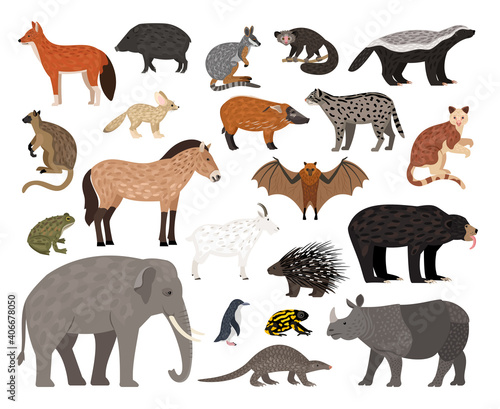 Savannah characters collection. Cartoon image of wildlife creatures, african animals set, vector illustration of residents of zoo isolated on white background