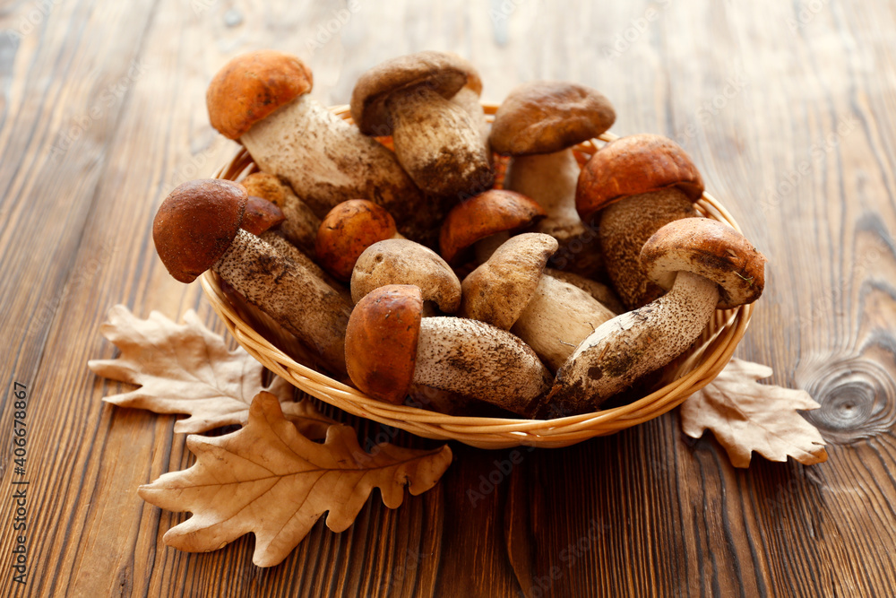 Bunch of porcini mushrooms in small wicker basket on wood textured table. Copy space for text, close up, top view, background. Bunch of porcini mushrooms in small wicker basket on wood textured table. Copy space for text, close up, top view, background.