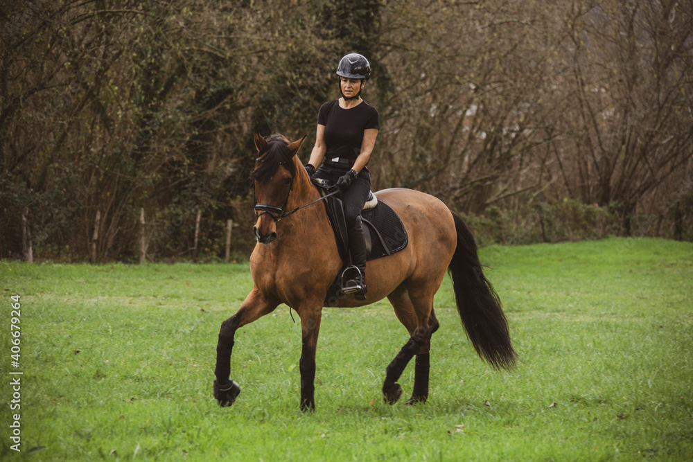 woman riding her brown horse with black mane dressed in black with a helmet woman riding her brown horse with black mane dressed in black with a helmet