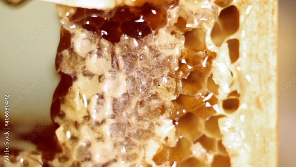 opening the honeycomb with a white knife, honey flows out of the open cells opening the honeycomb with a white knife, honey flows out of the open cells
