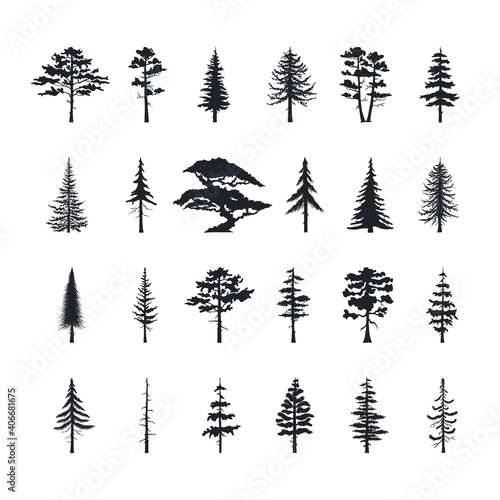 Big set of forest trees silhouettes. Vector isoleted icons of pine  fir  cedsar  oak. 