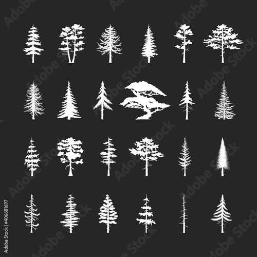 Set of vector isoleted icons of pine, fir, cedsar, oak on black. Collection of forest trees silhouettes. 